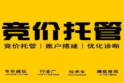 SEM托管公司经典案例分享与启示